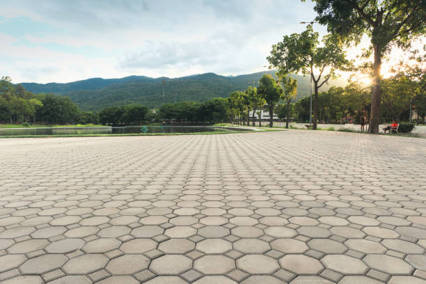 Best Residential Driveway Paver Services  in Pulaski, VA