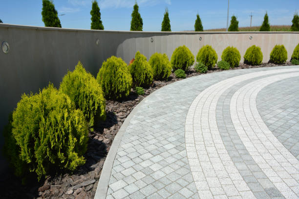 Best Residential Driveway Paver Services  in Pulaski, VA